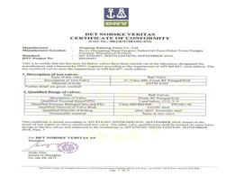 API 607 Certificate-2