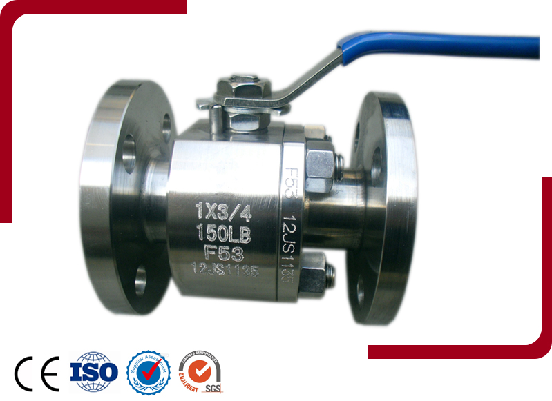 Forged Steel Floating Ball Valve<a href=